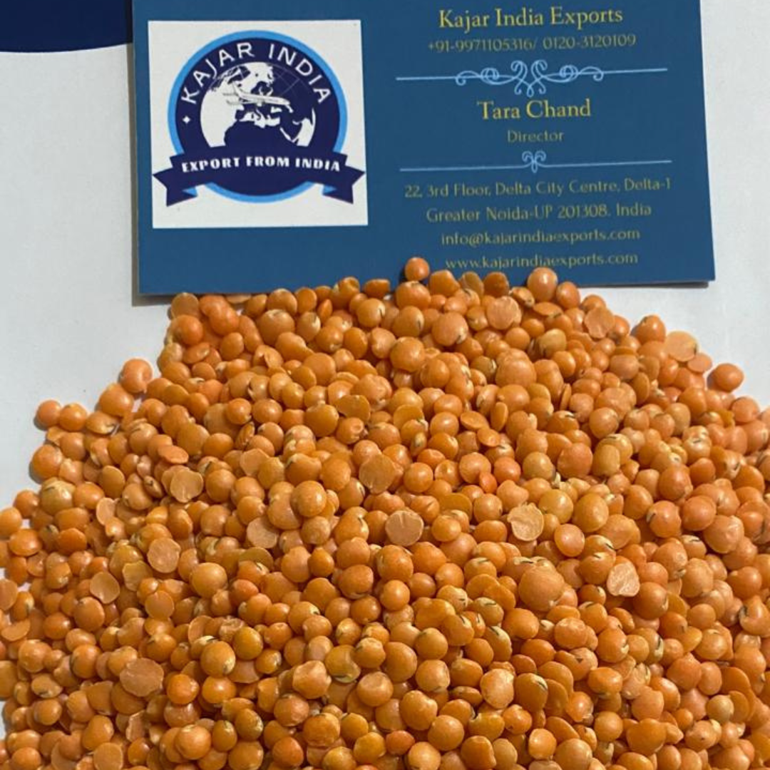 Your paragraph text (10).png